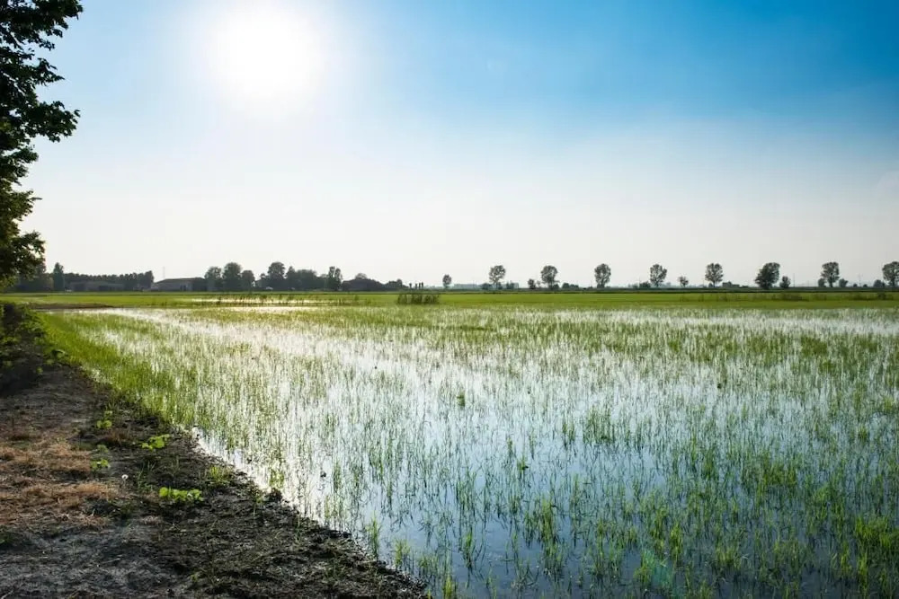 Azienda Agricola Le Colombare