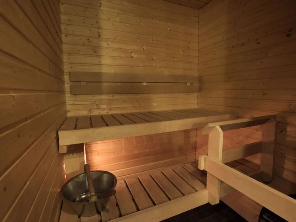 Nordic chalet 9106