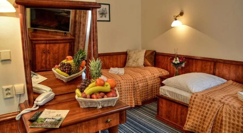 Spa & Wellness Hotel Harmonie
