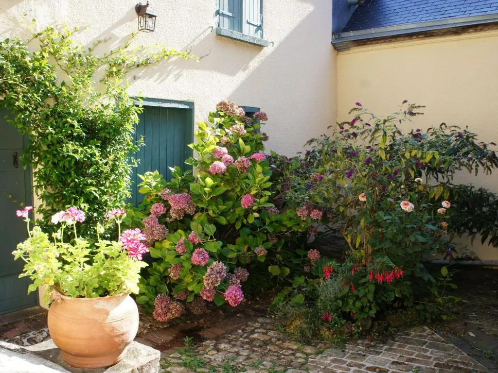 Maison de charme avec jardin à Montmirail - Rénovation 18e siècle, proche église, 2h de Paris - FR-1-410-211