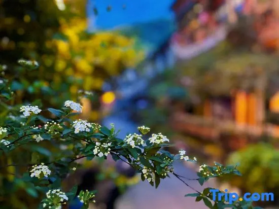 Jiezi Ancient Town Old Manor