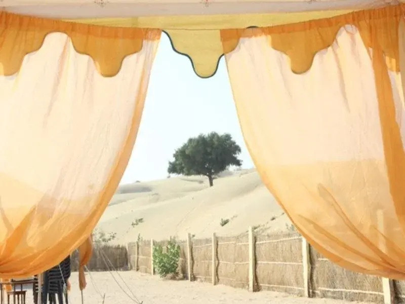 Fifu Desert Resort