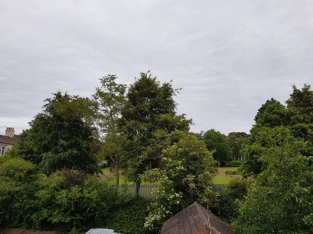 Saltburn Holidays 1 Park View