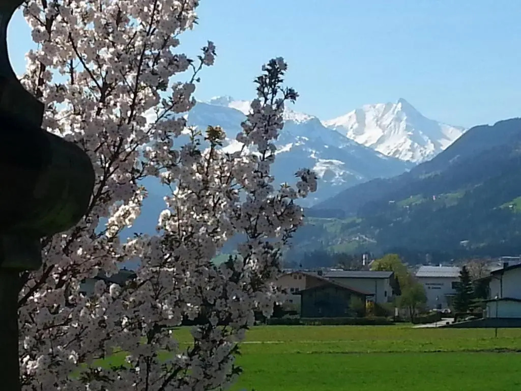 Apart Tyrol