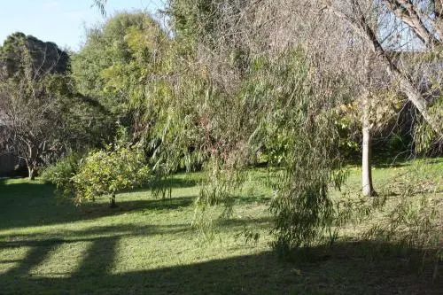 Lytton at Lonnie