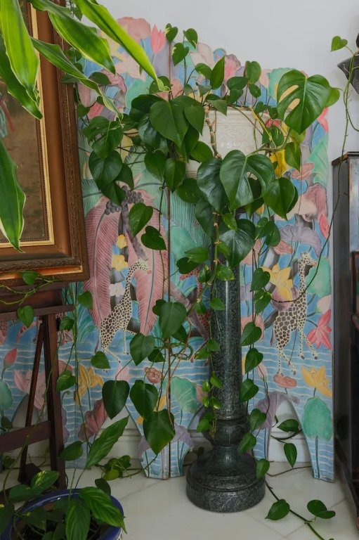My Exclusive Italy - Luxury Family Amalfi Coast Villa