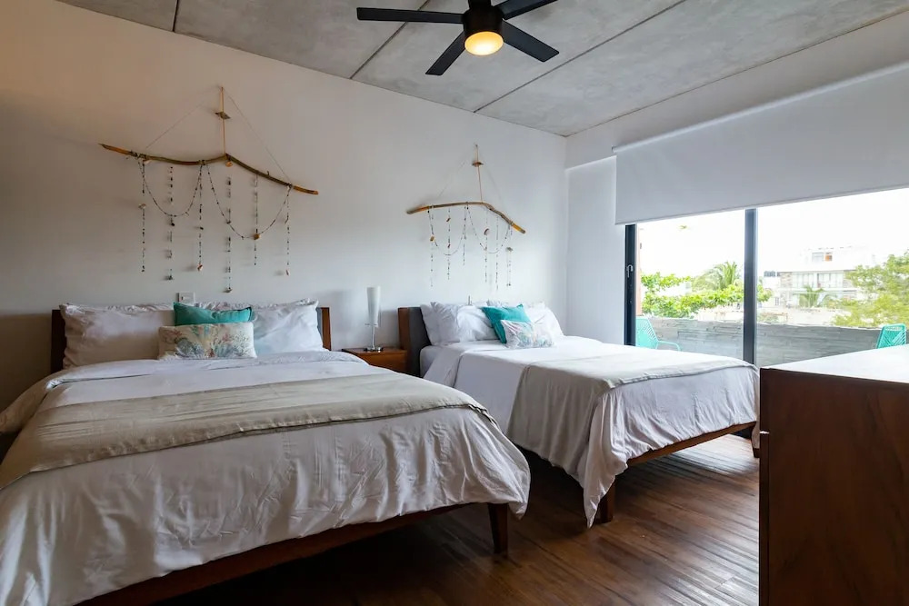 Areca 301 by CocoBR