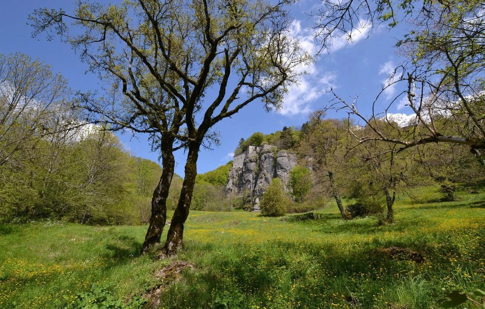 Beautiful Home in Pieve Santo Stefano With 3 Bedrooms
