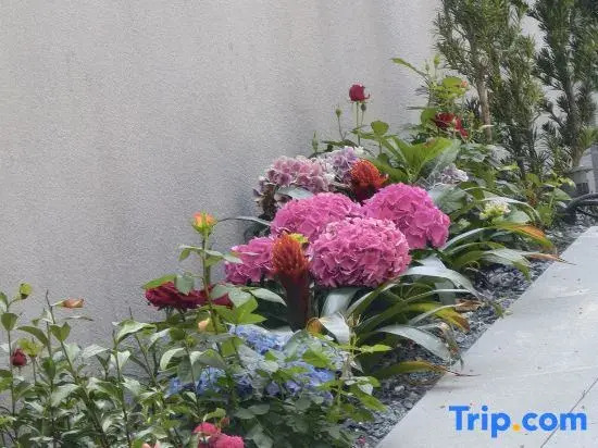 Shanyitang Mountain and Water Resort Villa, Wuyishan City