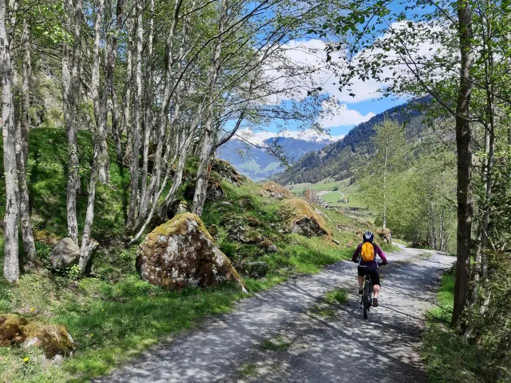 Appartement Hohe Tauern & Großvenediger
