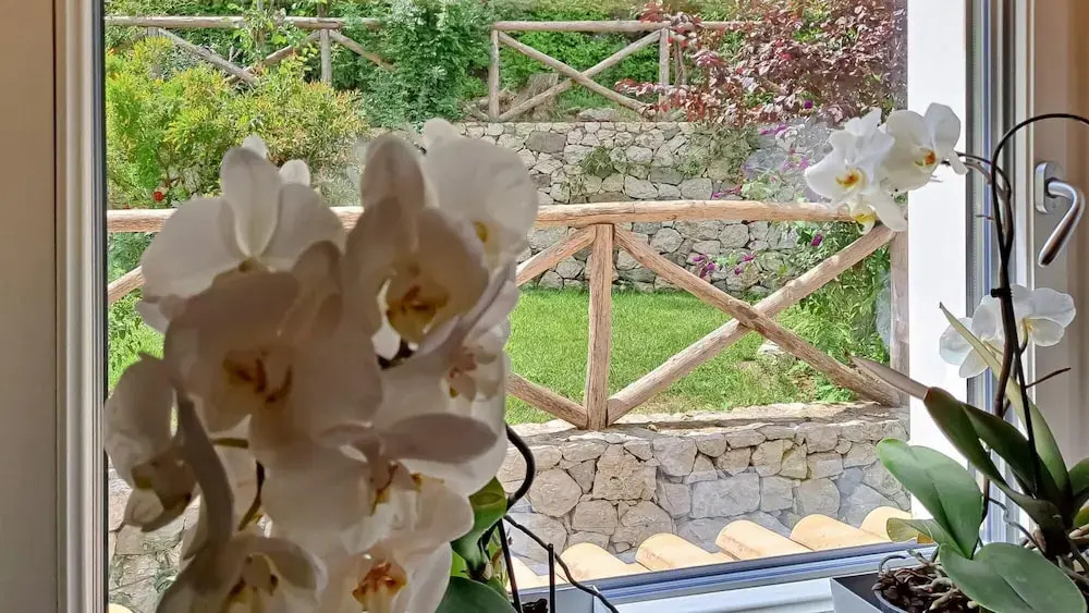 Villa Luciana With Bio Pool and Private Garden