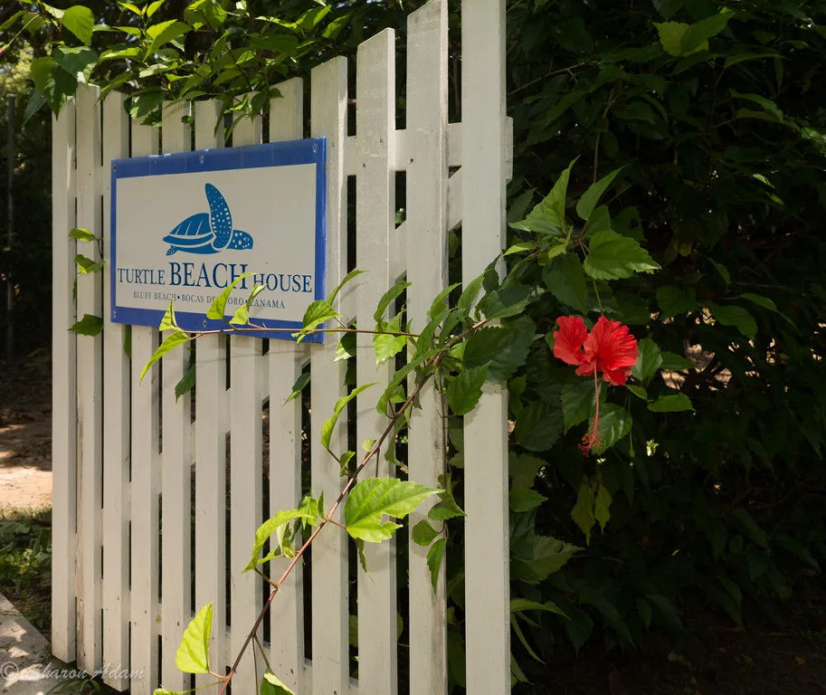 Turtle Beach House