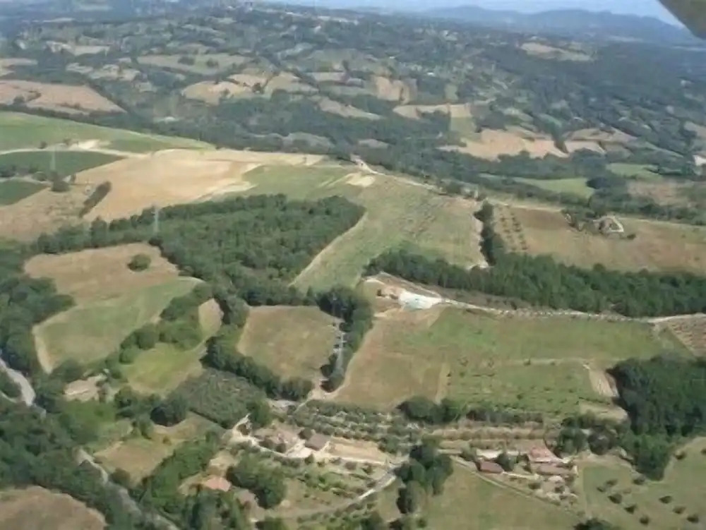San Lorenzo