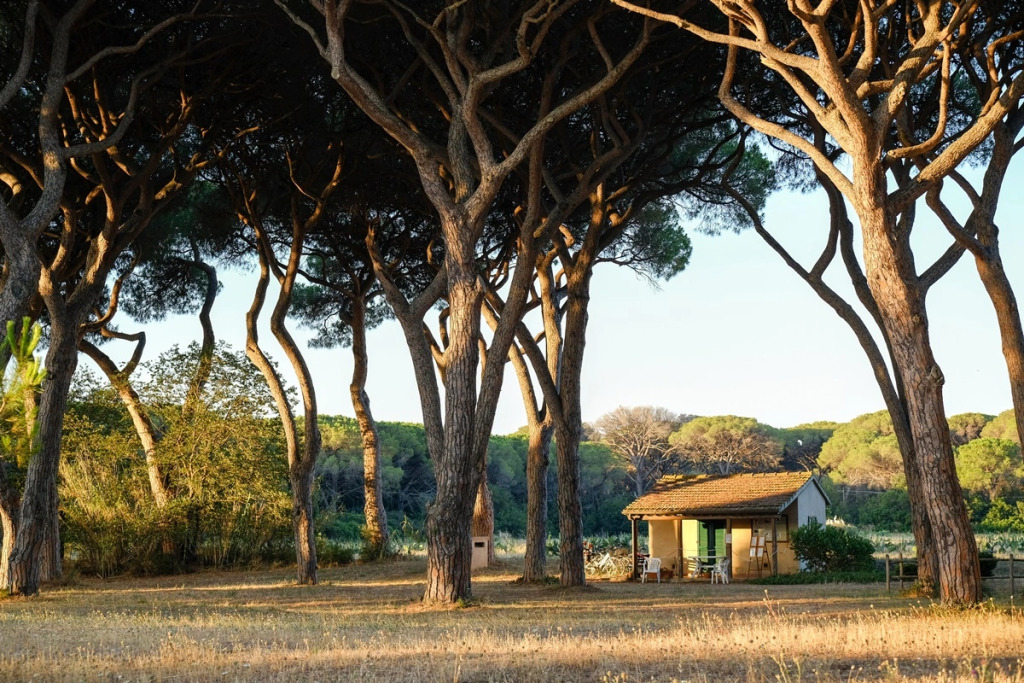 Residence La Canova II