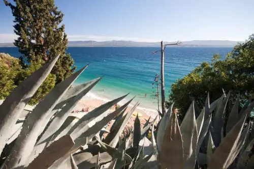 Holiday Homes Oliva