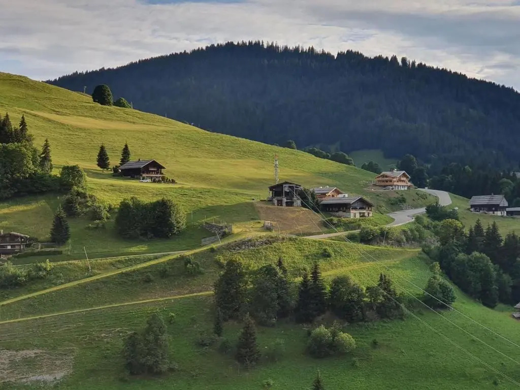 Appartement La Clusaz, 1 pièce, 6 personnes - FR-1-459-169