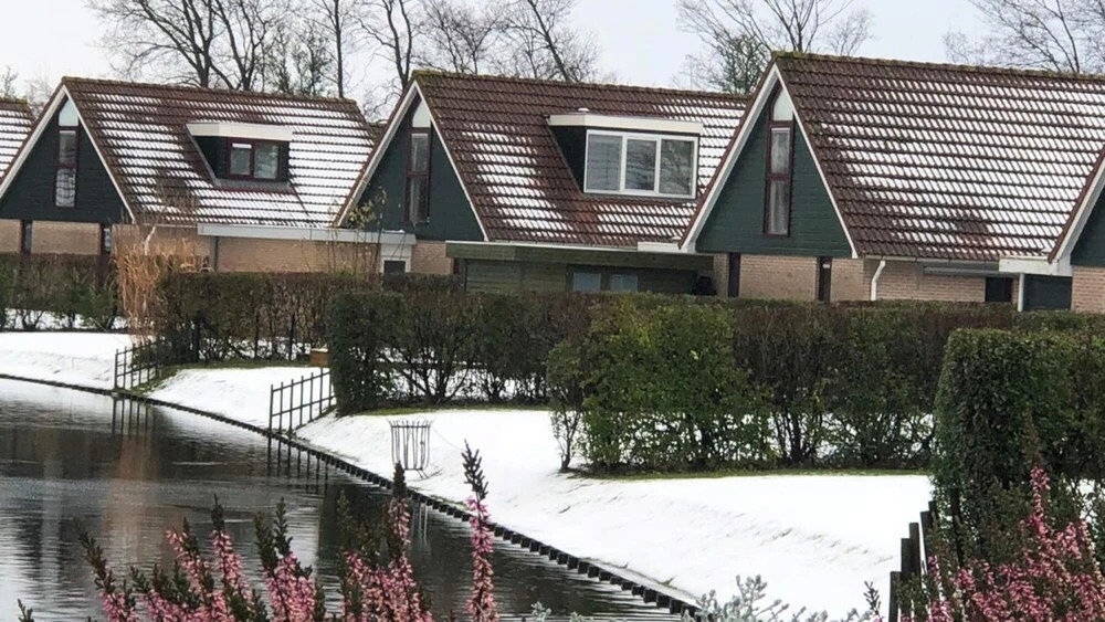 HVZ Crocus 4p in Heinkenszand