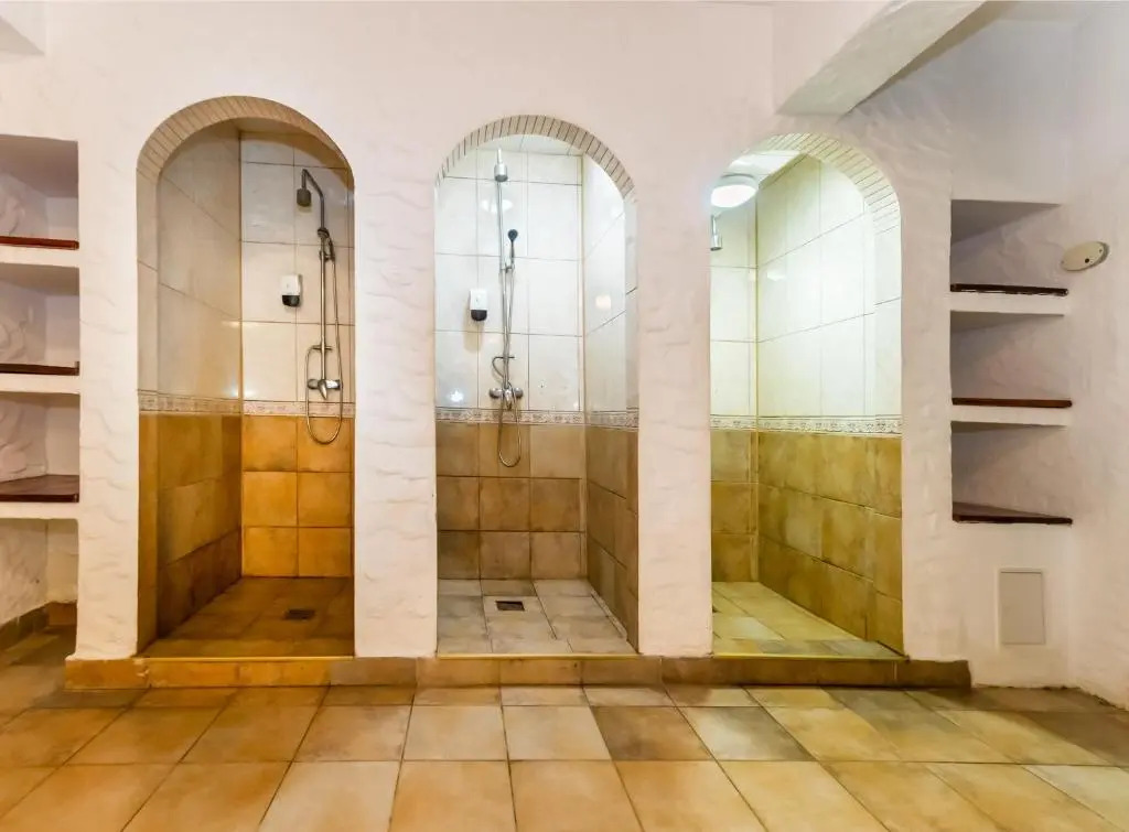 Hotel Imparatul Romanilor Hotel & SPA