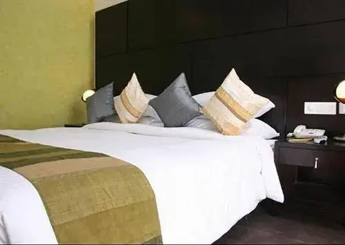 Dolphinn Grand