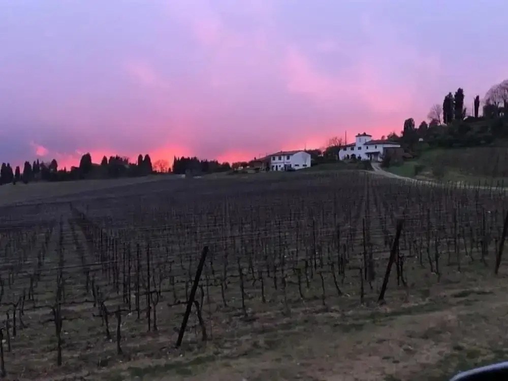 Azienda Agricolo Il Poggiolino