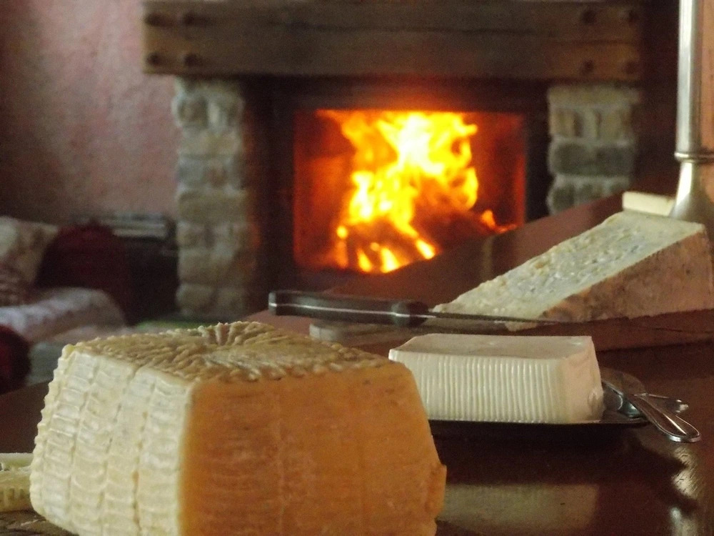 B&B Le Camelie del Bosco