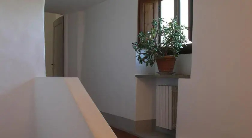 OLEANDRO
