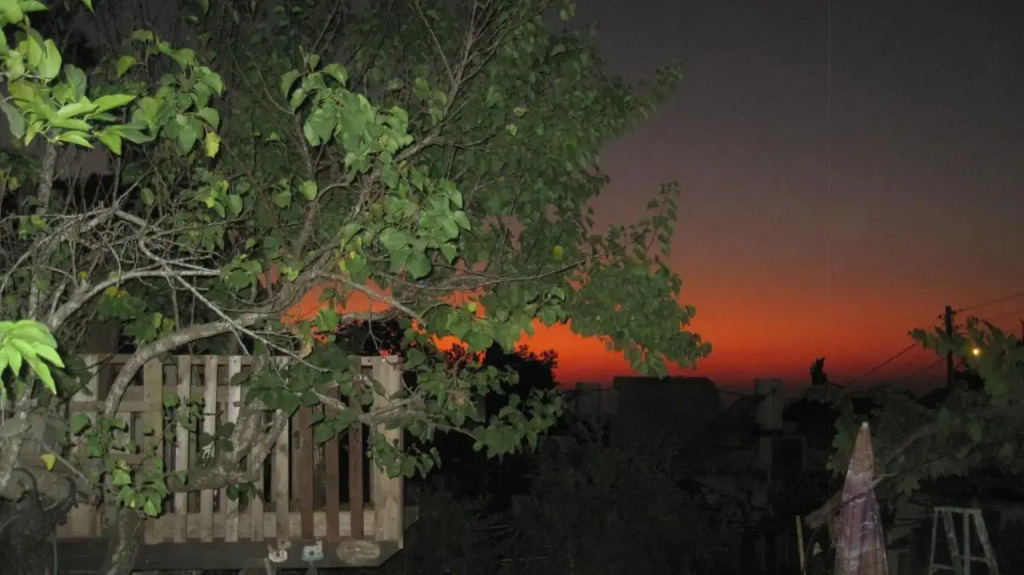 The House By The Mulberry Tree
