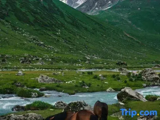 INWARD PEAK·Designer Holiday Homestay (Hemu Scenic Area Branch)
