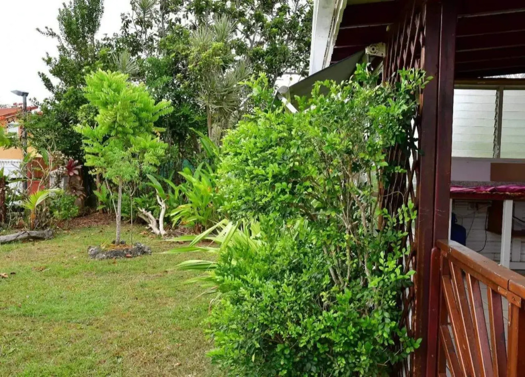 Bungalow tropical