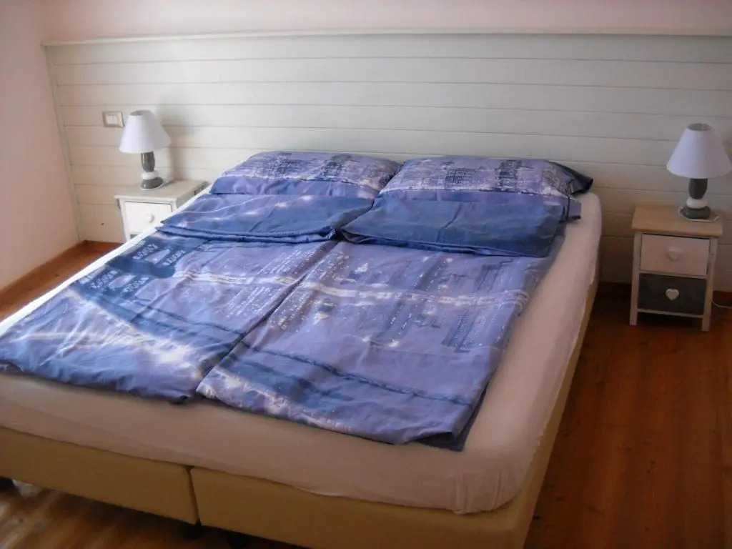 B&B Artemia