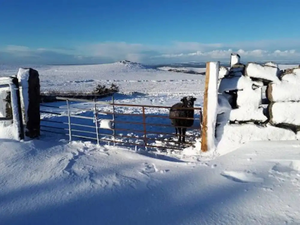 Dartmoor Barn on North Hessary Tor