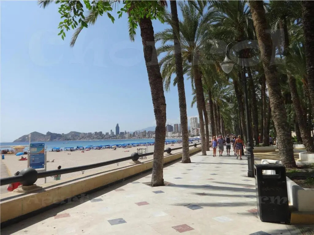 Apartamentos Benidorm Chorrol