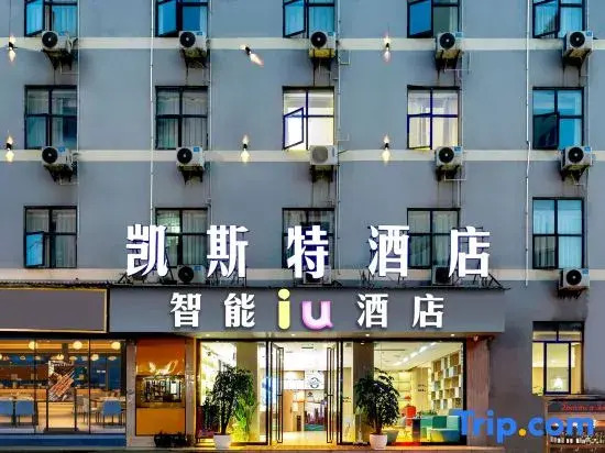 Kaisite Hotel (Nayong County Wanxiang Mall Shopping Center Store)