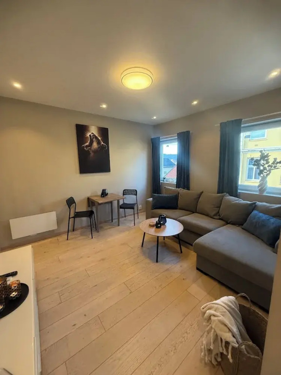 Notodden Sentrum Apartment NO 4