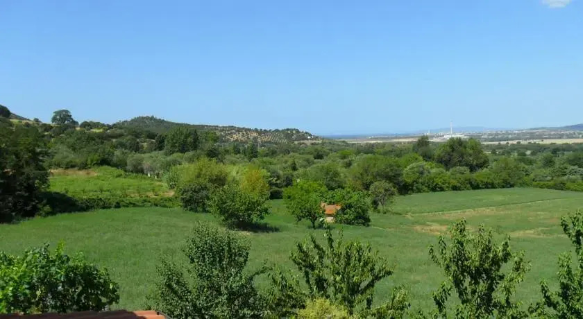 Madonna del Cedro