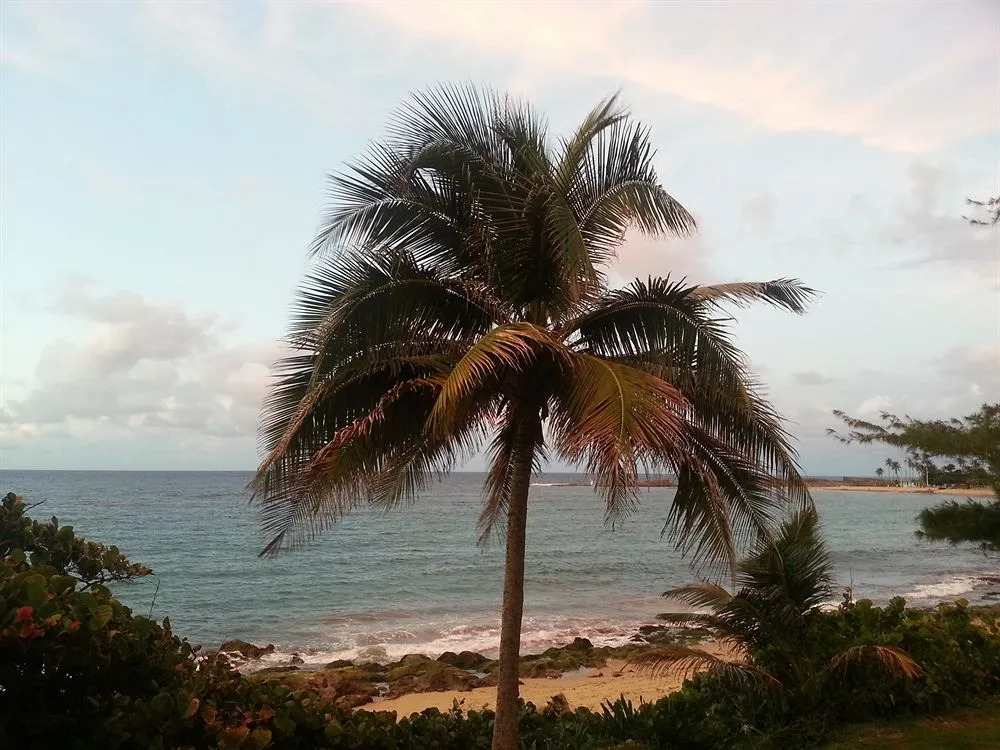 Villas de Costa Dorada Isabela