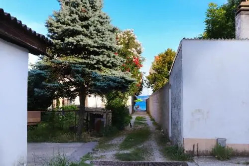 Apartment Cica