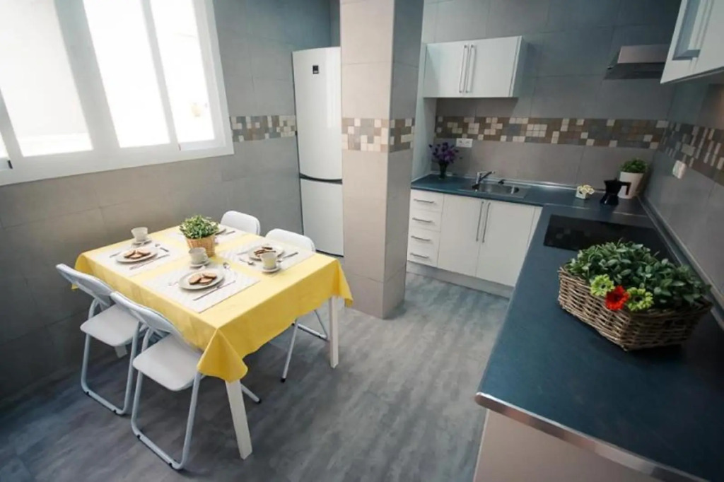 Apartment in Malaga 102296