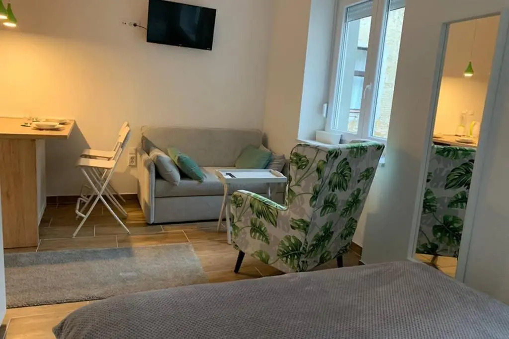 Studio apartment in center of Zagreb "Vidra"