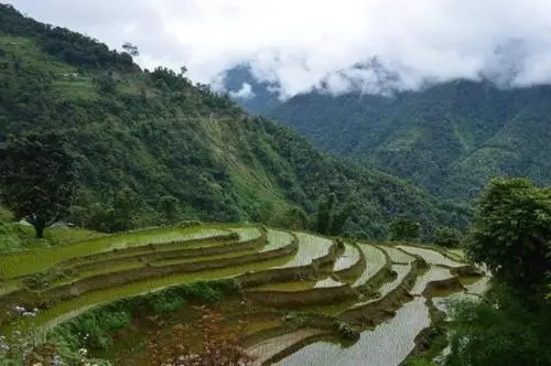 Yakten Paradise Homestay