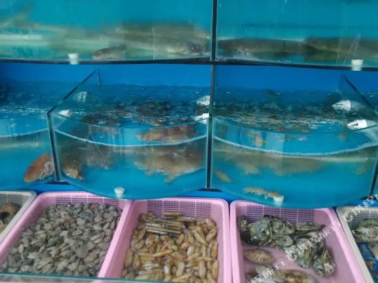 listen to the sea Homestay