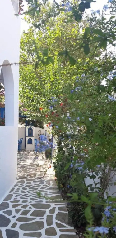 Pelagos Studios