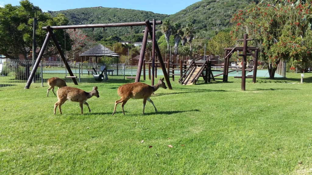 Brenton Lake Holiday Cottages