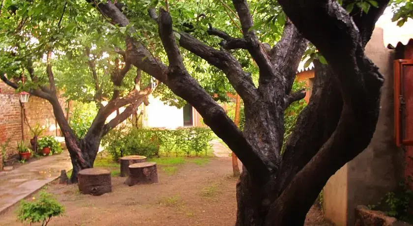 Lo de Rosa Hostel