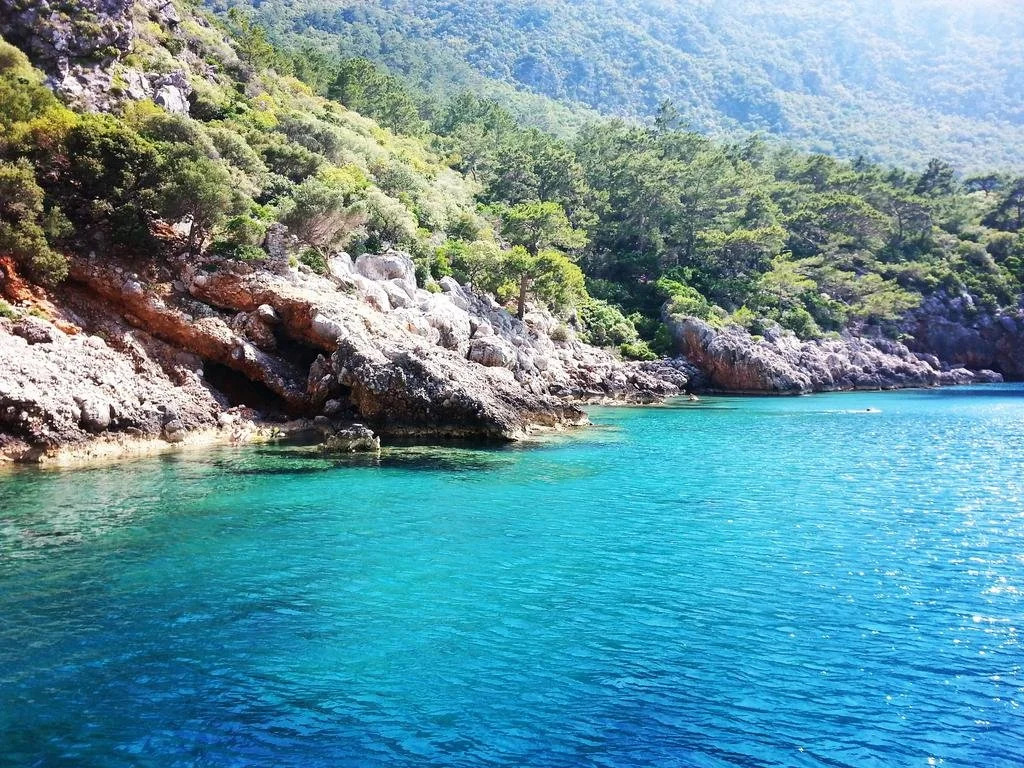 Olympos Deep Green Bungalows