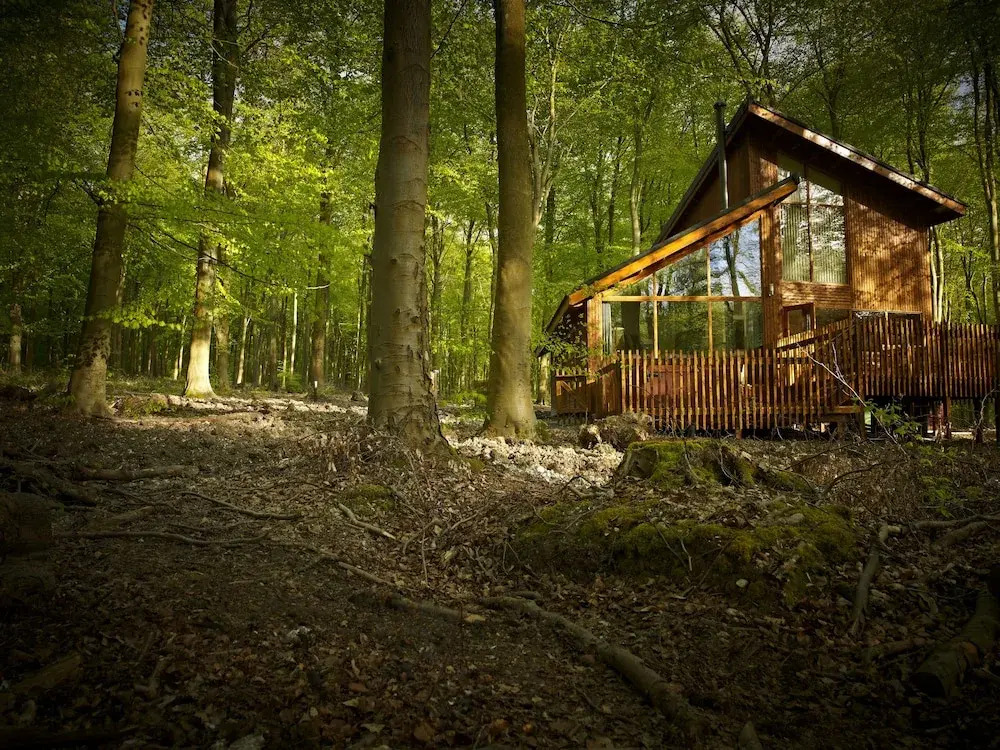 Blackwood Forest Cabins - Forest Holidays