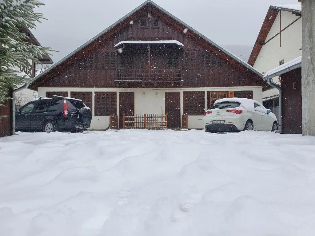 Vila Panselutelor 6