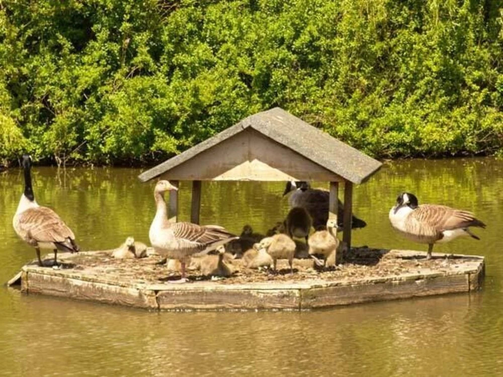 The Old Mill Cottage