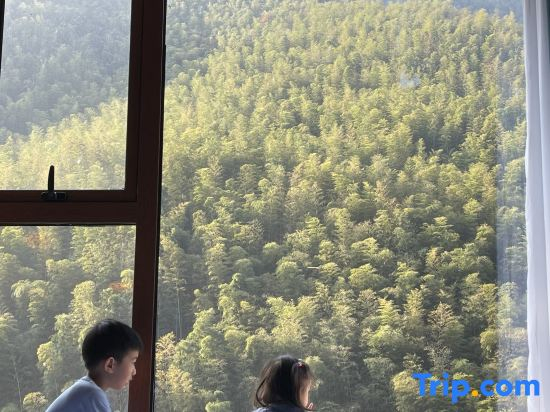 Yixing Qinlu homestay