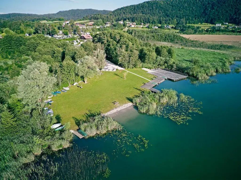 Breznik